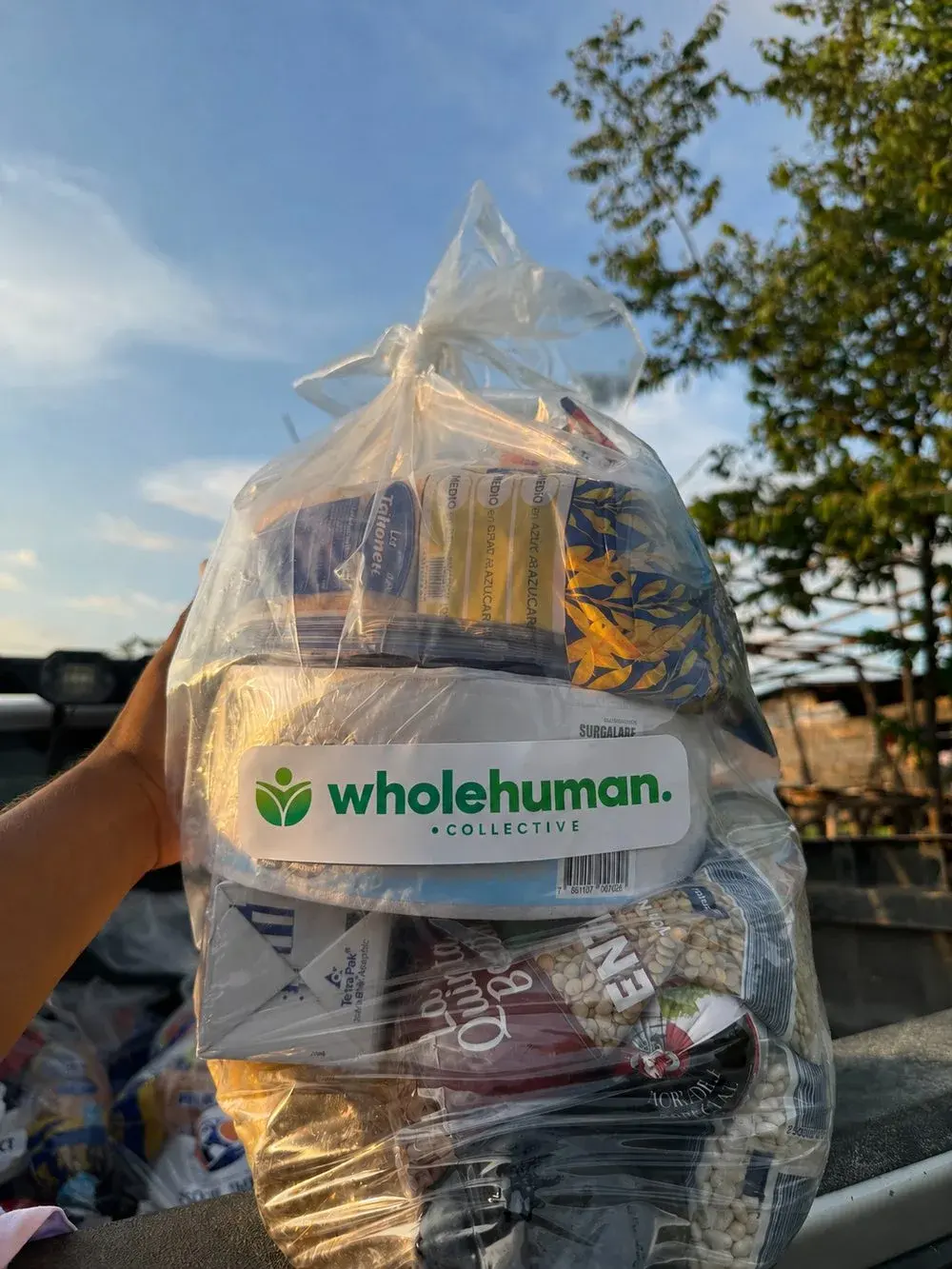 A hand holding up a clear bag of groceries with a Wholehuman Collective label